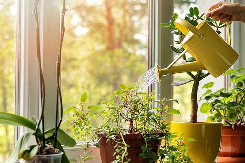 5practical